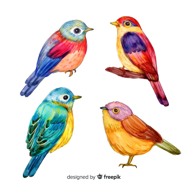 Vector set de pájaros tropicales en acuarela