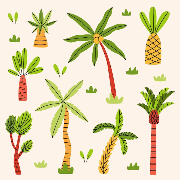 Set de palmeras tropicales
