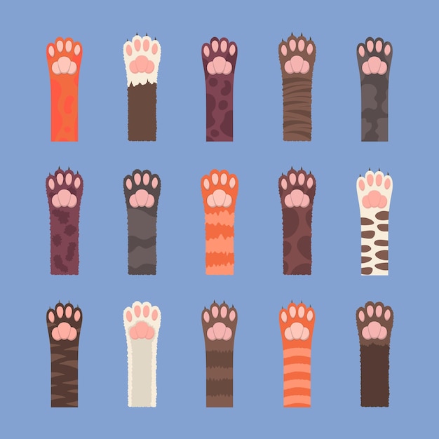 Vector set de patas de gatos multicolores esponjosos