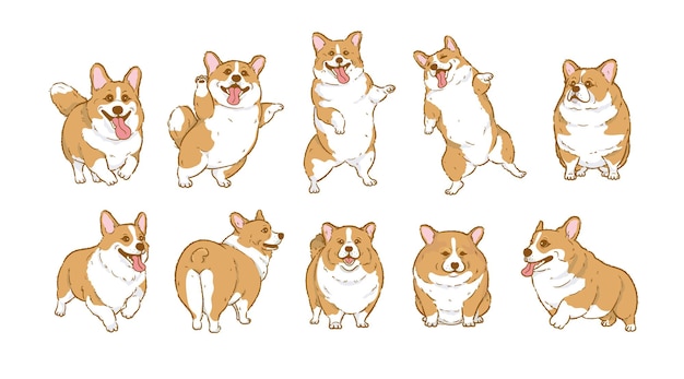 Vector set de perros corgi de dibujos animados con diseño de personajes de perros de caricaturas con colores planos en varias poses