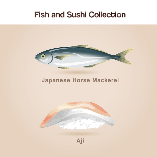 Vector set de pescado y sushi