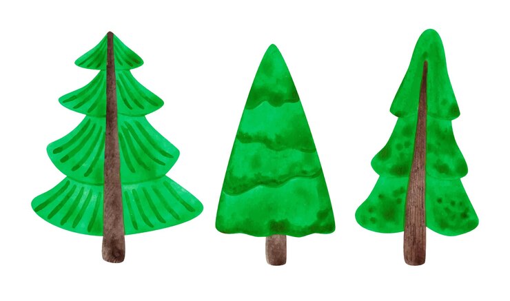 Vector set pino simple acuarela ilustraciones dibujadas a mano navidad g