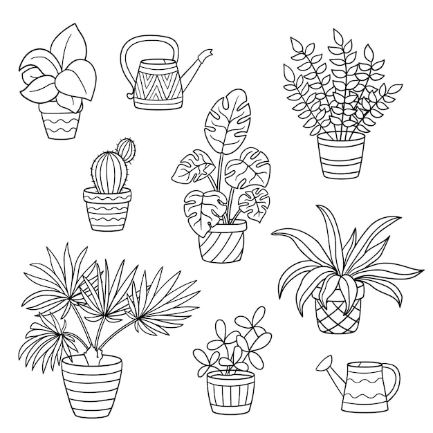 Vector set con plantas de interior en maceta para colorear página