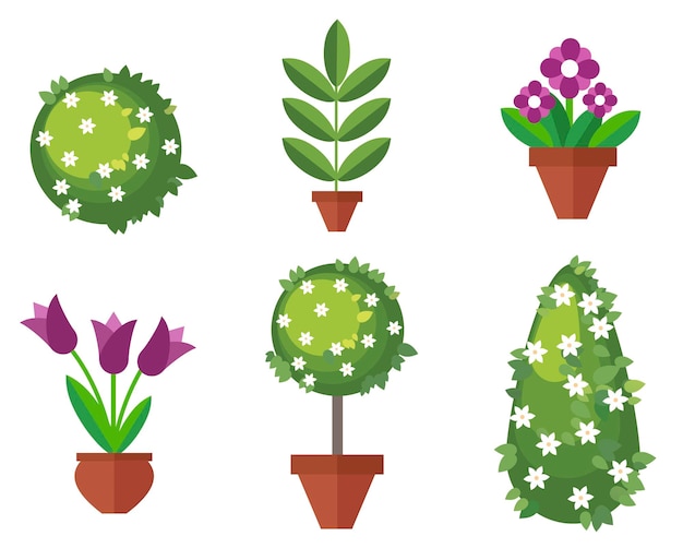 Vector set de plantas de jardín con flores y hojas