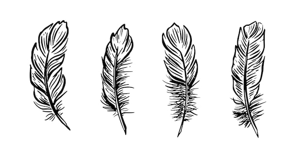 Set de plumas con ilustraciones dibujadas a mano