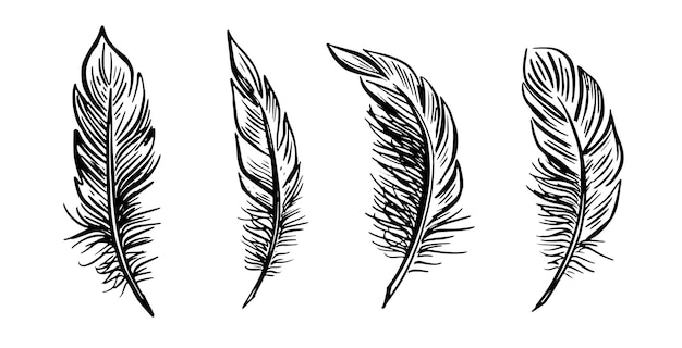 Set de plumas con ilustraciones dibujadas a mano