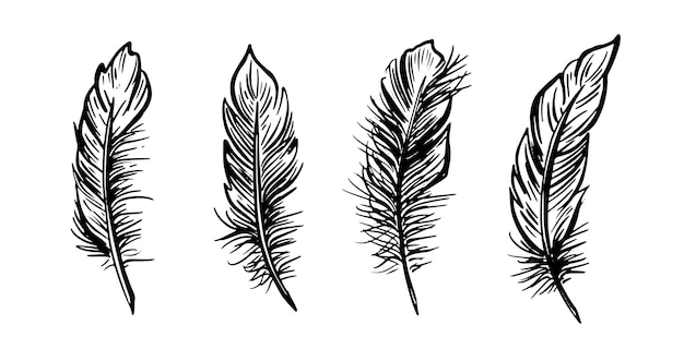 Set de plumas con ilustraciones dibujadas a mano