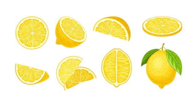 Set de rodajas de cítricos Limones con hojas Frutas naturales y orgánicas con vitaminas Comida sabrosa y jugosa Adhesivo para redes sociales Colección de vectores planos de dibujos animados aislados sobre fondo blanco