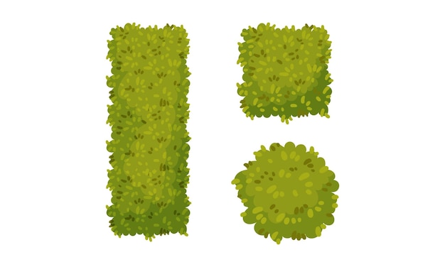 Set de setos de diferentes formas Elementos decorativos del parque y el jardín Ilustración vectorial de dibujos animados