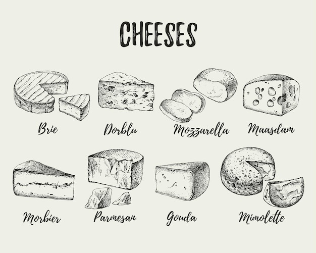 Vector set de tipos de queso dibujado a mano ilustración vectorial de alimentos naturales