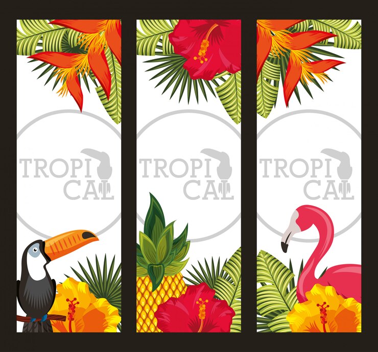 Vector set tropical flor hojas animal tarjeta