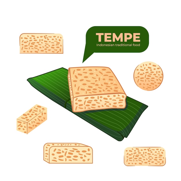 Set Vector Tempe Comida Tradicional Indonesia