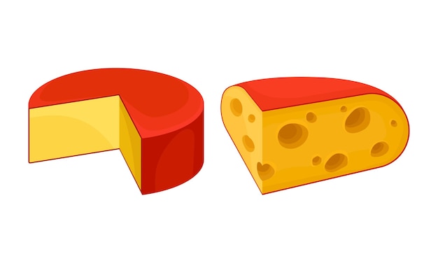 Set de vectores de queso diferente como producto lácteo elaborado a partir de leche