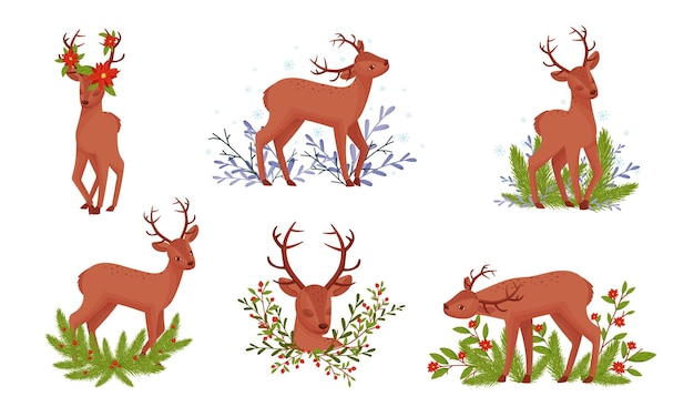 Set vectorial de ciervos con cuernos de pie en ramas florales
