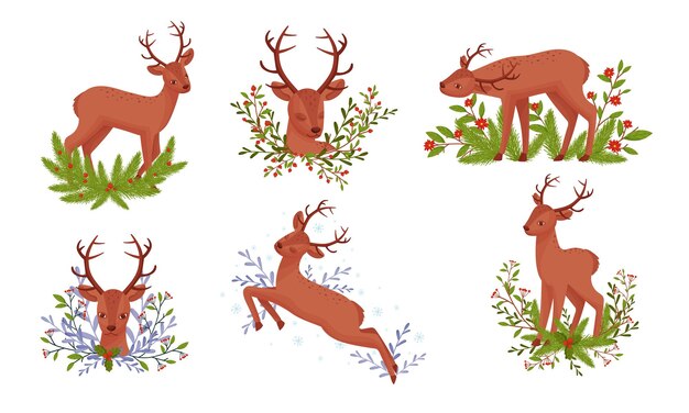 Set vectorial de ciervos con cuernos de pie en ramas florales