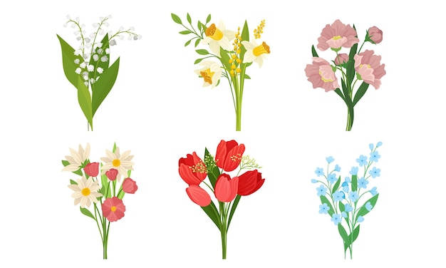 Set vectorial de crecimiento de flores de primavera jardín colorido y plantas silvestres que crecen en primavera