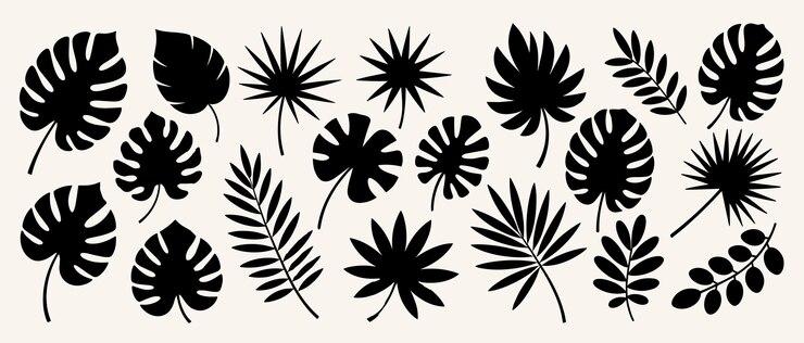 Set vectorial de hojas tropicales siluetas de hojas tropical negras en un fondo claro