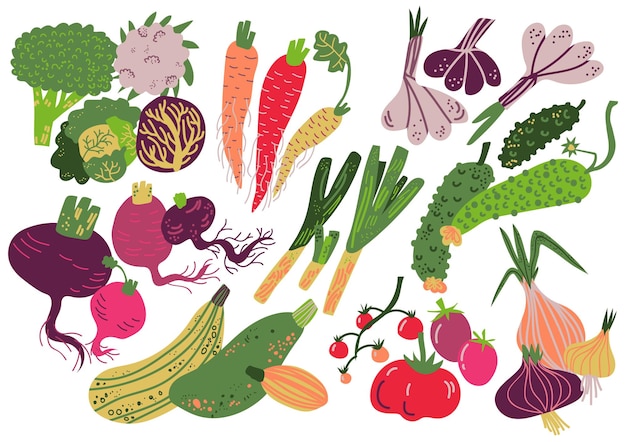 Set de verduras Nutrición saludable Alimentos zanahoria cebolla ajo pepino repollo tomate brócoli remolacha rábano calabacín Ilustración vectorial en fondo blanco