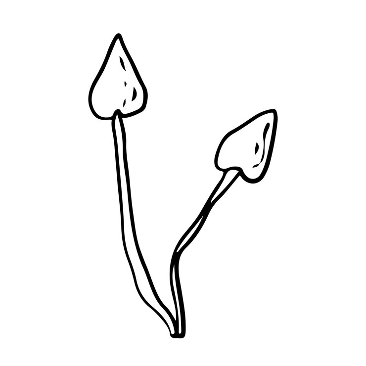 Vector seta de estilo doodle sobre fondo blanco aislado. seta del bosque. ilustración vectorial.