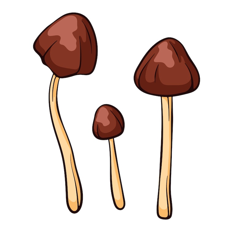 Vector seta no comestible conocybe filaris en estilo de dibujos animados dibujo de comida venenosa ilustración vectorial