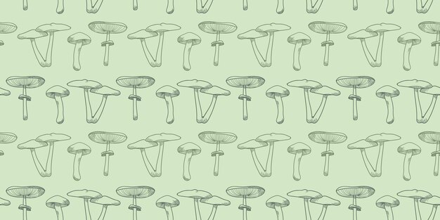Seta vector patrón fondo ilustración botánica