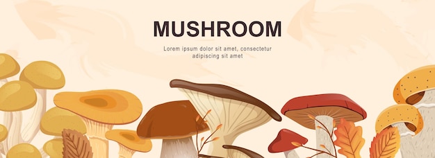 Setas banner web horizontal Cep boletus chanterelle miel agárico champiñón russule y otra cosecha forestal de otoño Ilustración vectorial para plantillas de portada de sitio web de encabezado en diseño moderno