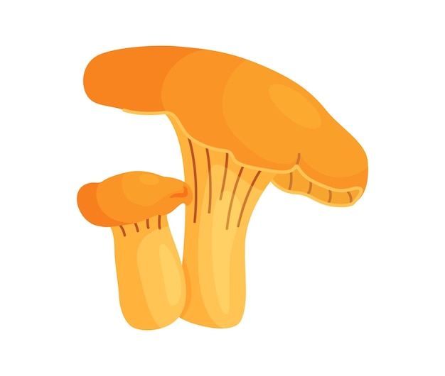 setas de chanterelle frescas dibujadas a mano de estilo plano aisladas setas comestibles