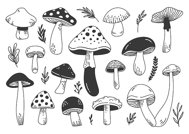 Setas Conjunto de diferentes tipos de setas del bosque dibujado a mano Vector