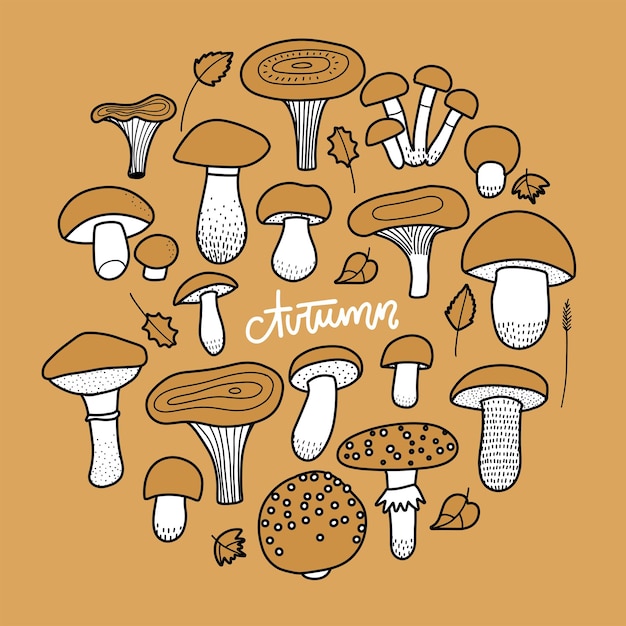 Setas de otoño en estilo de dibujo lineal de doodle ilustración de vector dibujado a mano blanco y negro ...
