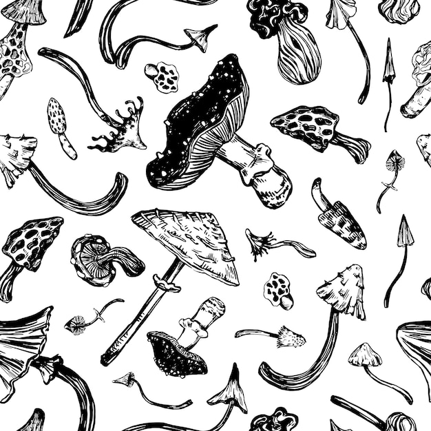 Setas de patrones sin fisuras Adorno de hongos venenosos variados Ilustración vectorial en estilo de grabado retro Diseño abstracto para decoración de papel tapiz envoltura textil de fondo