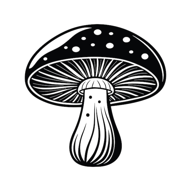 Setas de Shiitake (svg)
