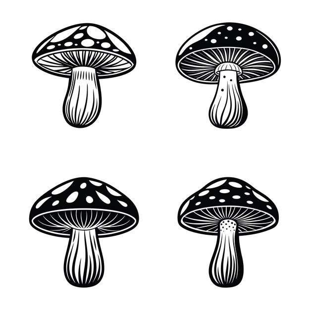 Setas de Shiitake (svg)