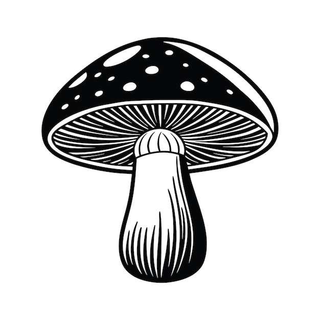 Setas de Shiitake (svg)
