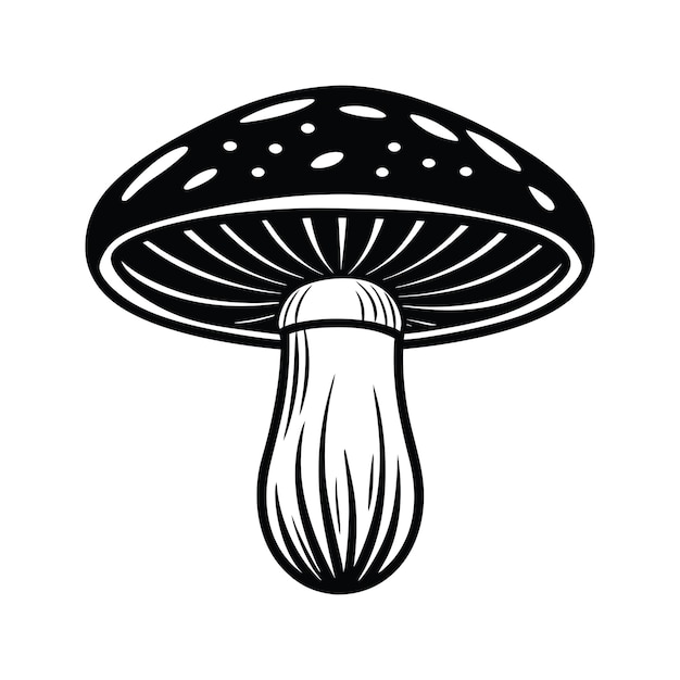 Setas de Shiitake (svg)