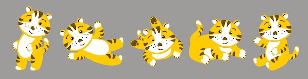 Vector seth es un tigre chino, un personaje divertido el símbolo de 2022 vector