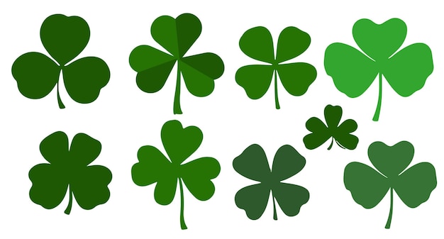 Shamrock trébol de cuatro hojas St Patrick día vector aislado fondo blanco