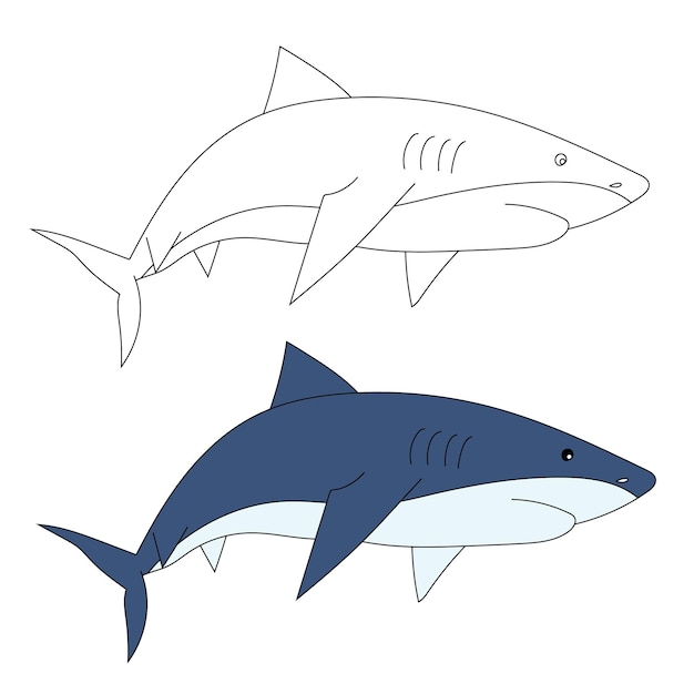 Vector shark clipart animales acuáticos y marinos clipart