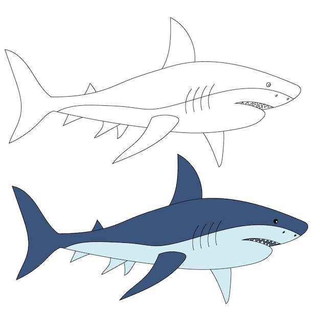 Vector shark clipart animales acuáticos y marinos clipart