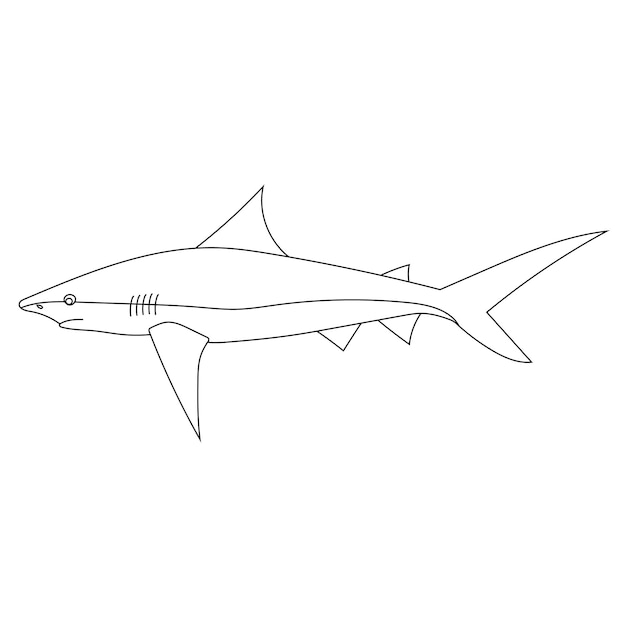 Vector shark clipart animales acuáticos y marinos clipart