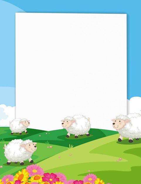 Vector sheeps banner