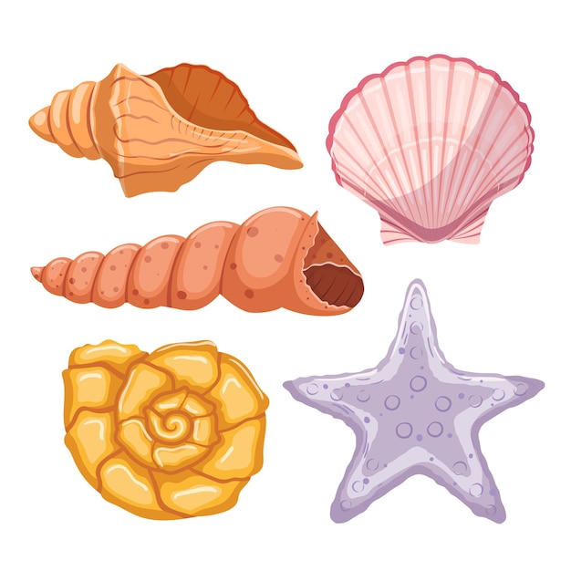 Shell mar conjunto vector de dibujos animados