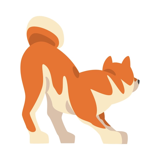 Shiba inu como raza japonesa de perro de caza con orejas punzantes y cola rizada jugando al vector
