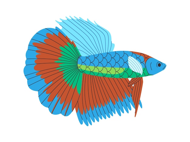 Siamés de colores que luchan contra peces salvajes naturaleza pequeño animal hermoso mascota de acuario elegante