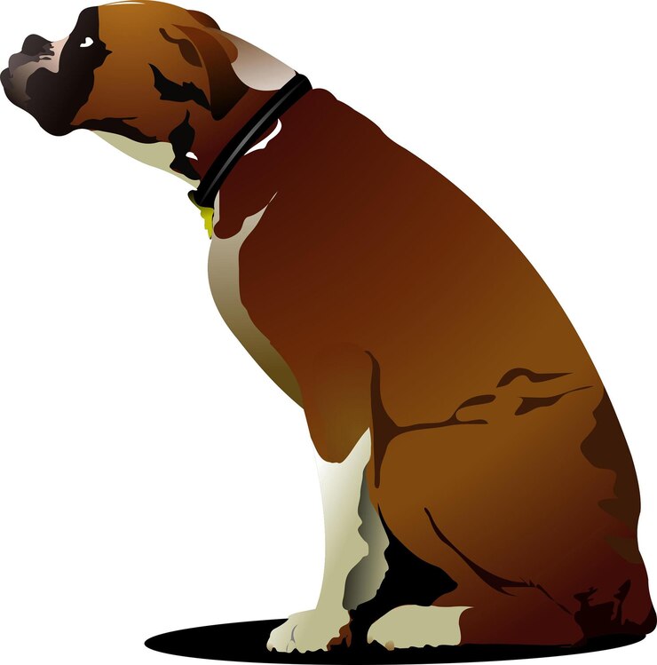 Vector se sienta un lindo perro boxeador ilustración vectorial