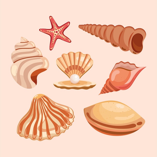 Siete iconos de conchas de mar