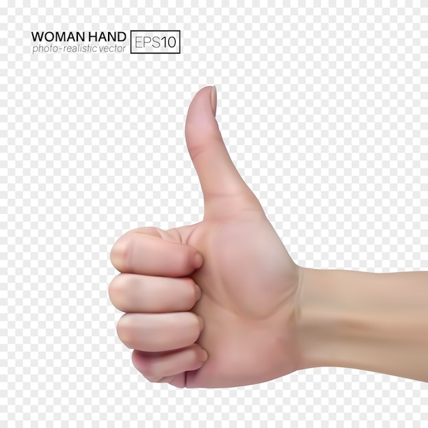 Vector signo de pulgar hacia arriba. muestra la mano femenina sobre un fondo transparente.