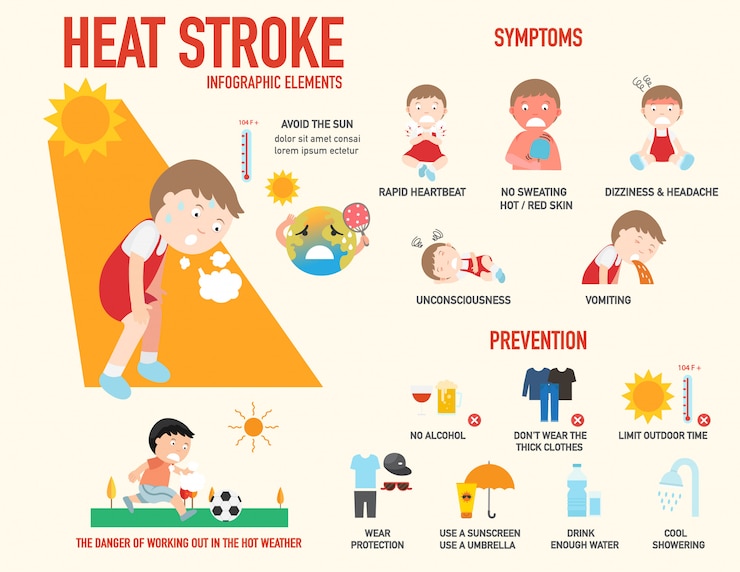 Vector signo de riesgo de golpe de calor y síntoma y prevención infografía, ilustración.
