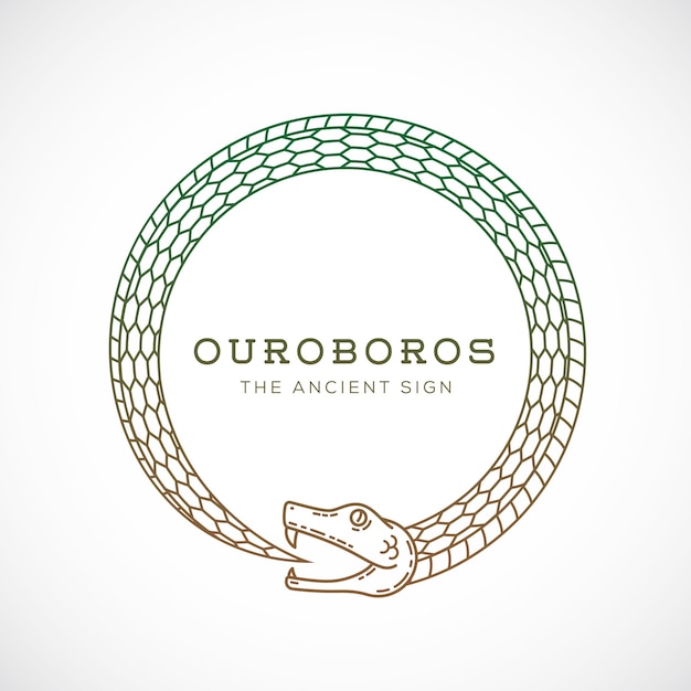 Signo de símbolo de serpiente ouroboros vectorial abstracto o una plantilla de logotipo en estilo de línea aislado