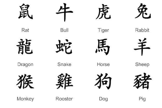 Signos de animales planos del zodiaco chino por año Signos del zodiaco chino Símbolos del horóscopo