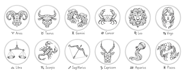 Vector signos del zodiaco. dibuja cáncer, escorpio y piscis. tauro, virgo y capricornio dibujados a mano. aries, leo y sagitario